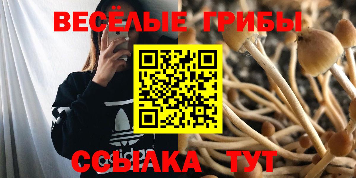 Конопля Тверь