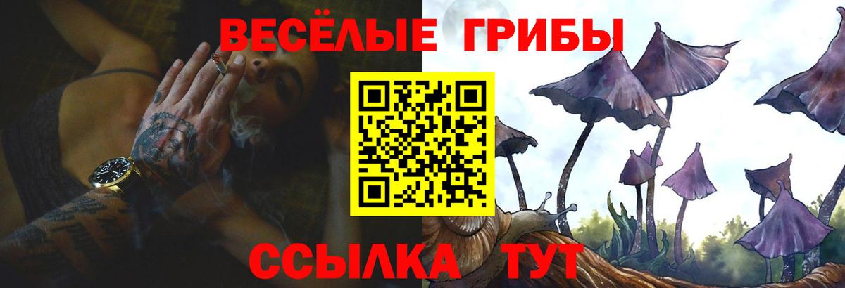 Галлюциногенные грибы MAGIC MUSHROOMS  Вход с VPN  Псилоцибиновые грибы мицелий  продажа наркотиков  Тверь 