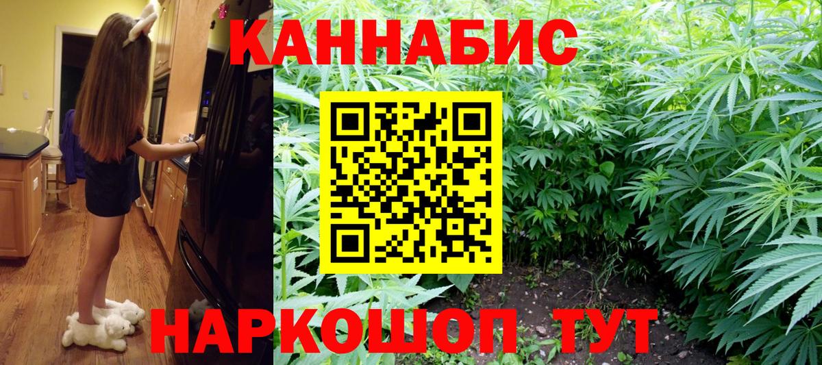 Каннабис семена  Конопля Bruce Banner  Вход с VPN  Тверь 